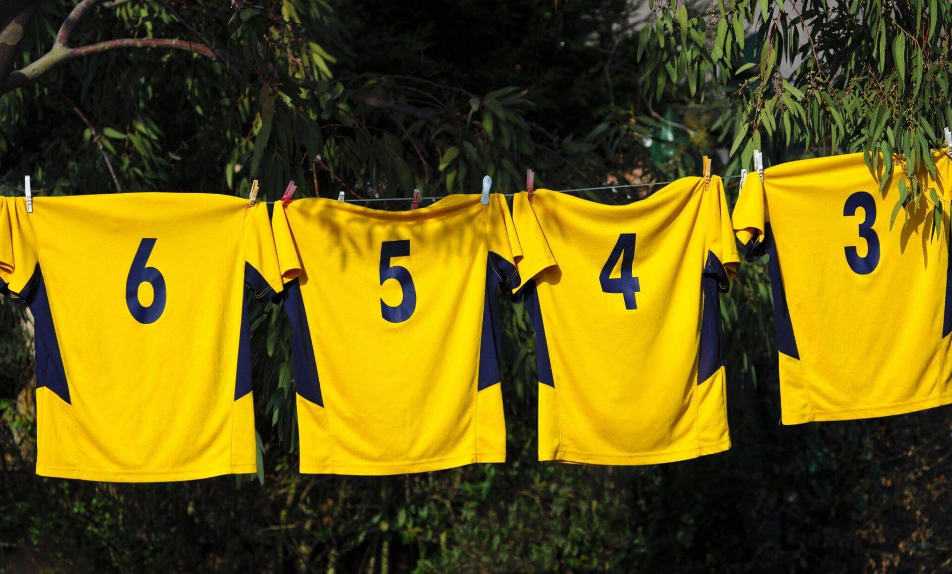 All you need to understand: What is a jersey, and its type?