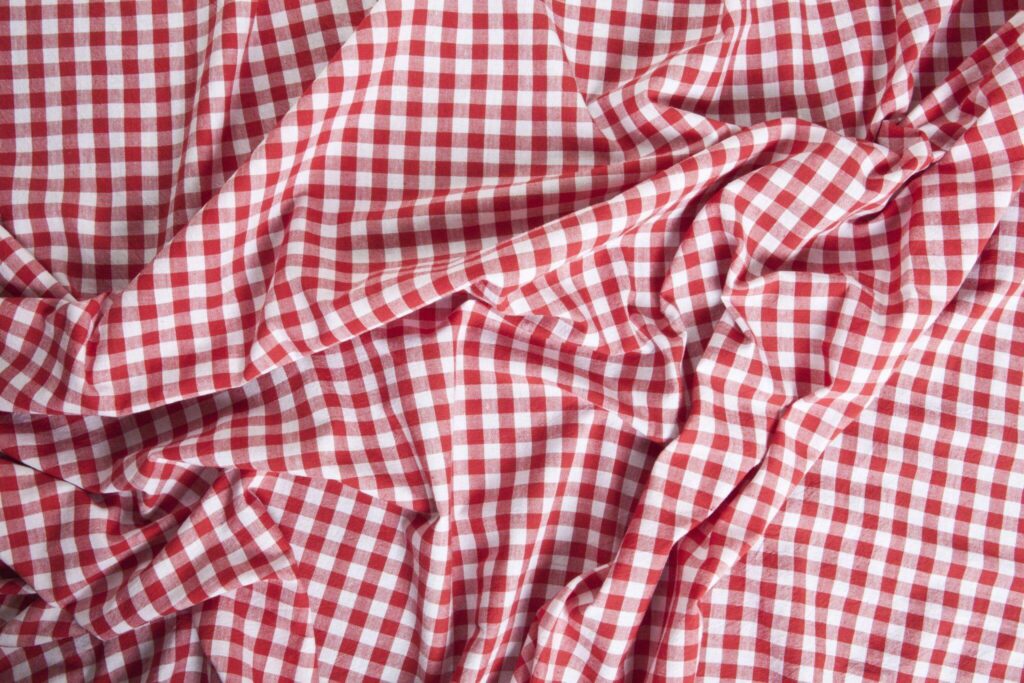 Gingham fabric 